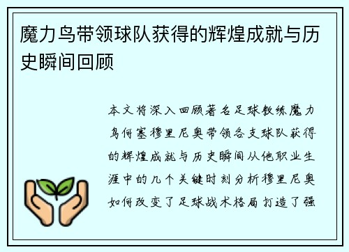 魔力鸟带领球队获得的辉煌成就与历史瞬间回顾