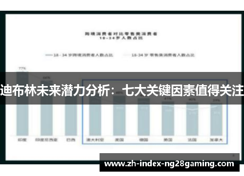 迪布林未来潜力分析：七大关键因素值得关注