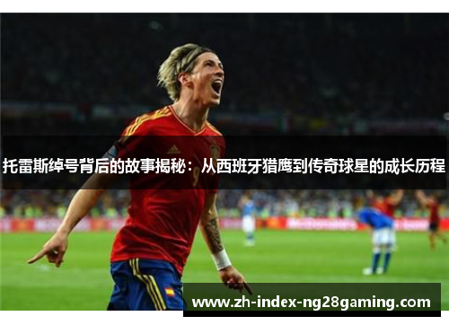 托雷斯绰号背后的故事揭秘：从西班牙猎鹰到传奇球星的成长历程