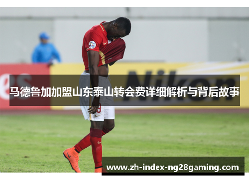 马德鲁加加盟山东泰山转会费详细解析与背后故事