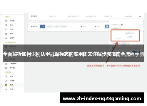 全面解析如何识别法甲冠军标志的实用图文详解步骤指南全流程手册