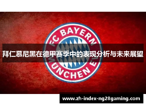 拜仁慕尼黑在德甲赛季中的表现分析与未来展望