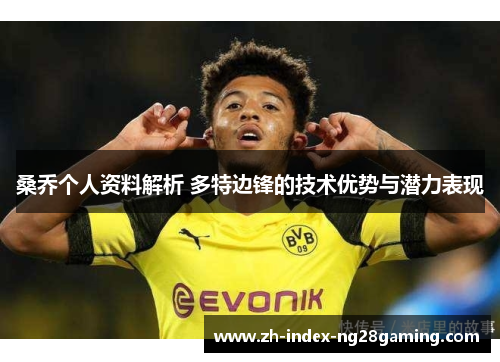 桑乔个人资料解析 多特边锋的技术优势与潜力表现