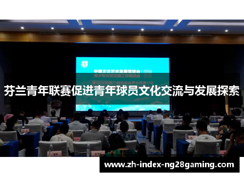 芬兰青年联赛促进青年球员文化交流与发展探索