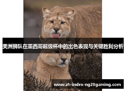 美洲狮队在墨西哥超级杯中的出色表现与关键胜利分析 美洲狮队在墨西哥超级杯中的出色表现与关键胜利分析